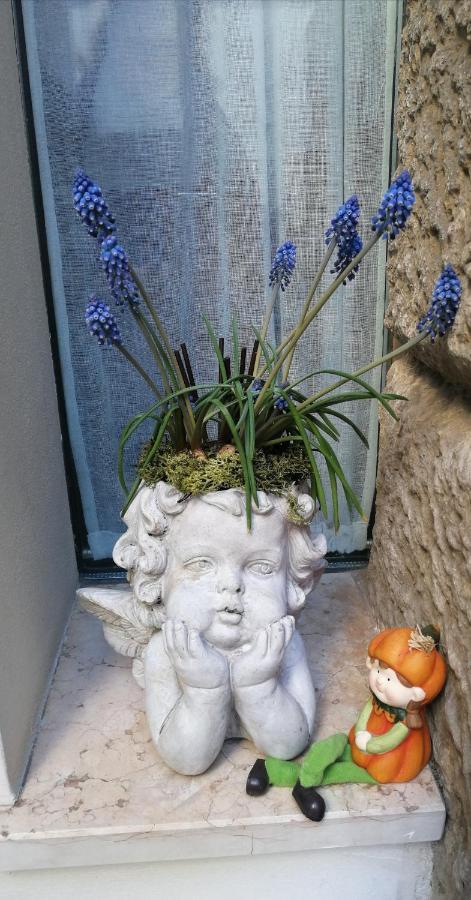 Verona Goddess House Exterior photo